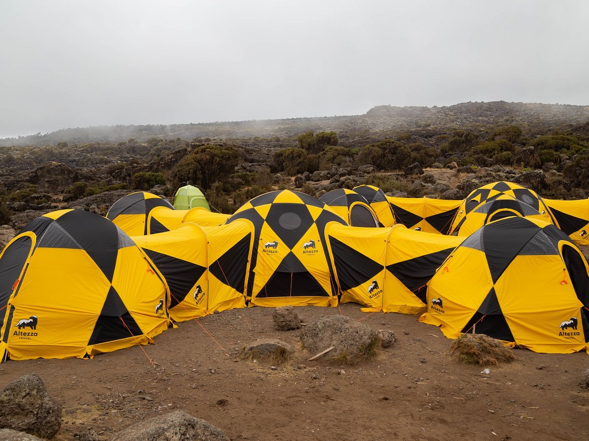 Day 7: From Barafu Camp to Uhuru Peak and to Mweka Camp